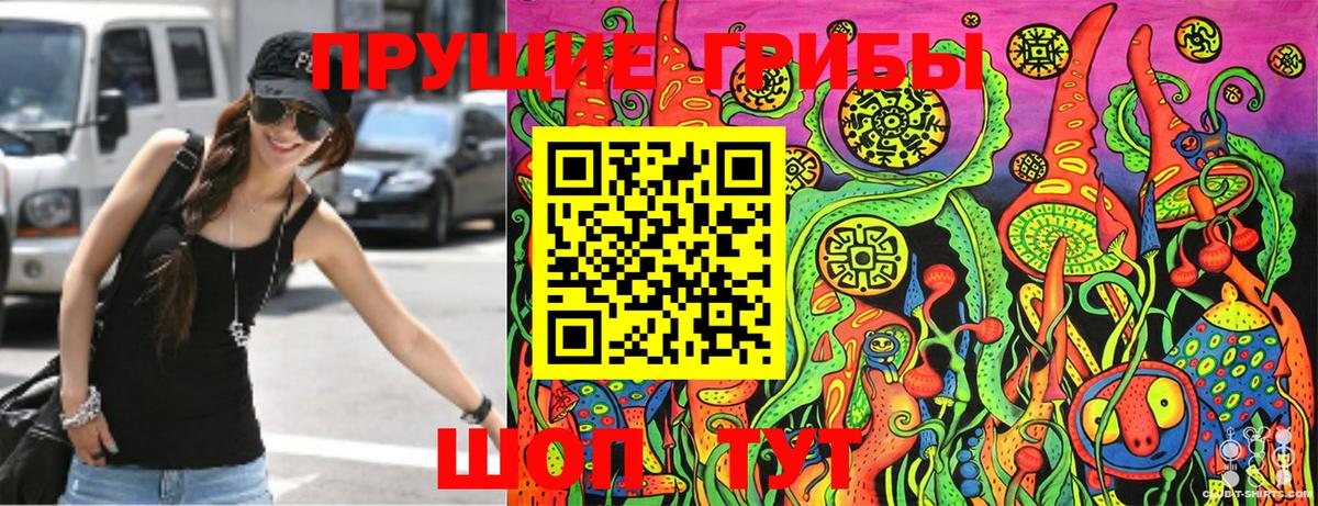 магазин продажи наркотиков  Галлюциногенные грибы Cubensis  Вход с VPN  Камень-на-Оби  Псилоцибиновые грибы Cubensis 